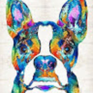 Meet your Posher, Tessa